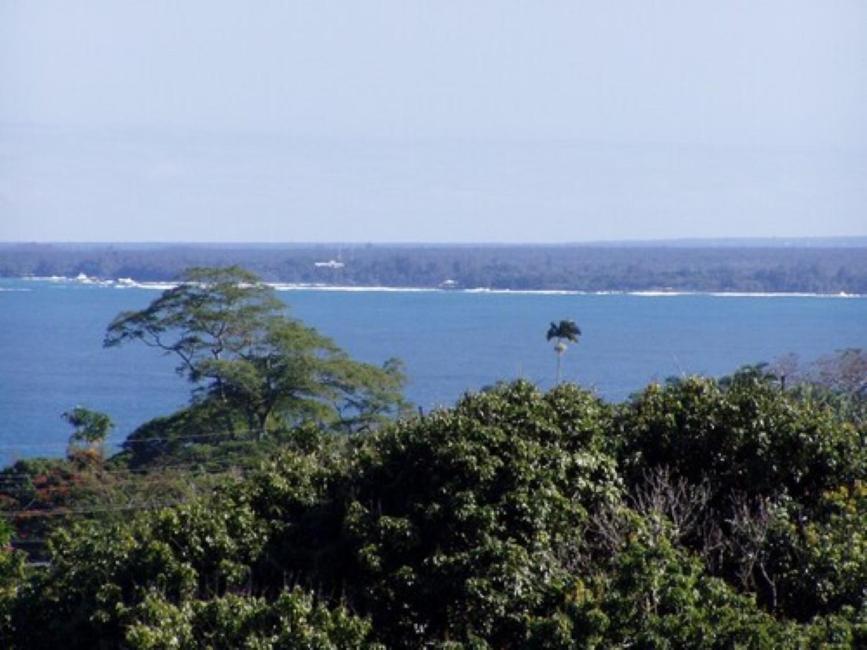 Island Goode'S - Luxury Adult Only Accommodation Near Hilo Papaikou Extérieur photo