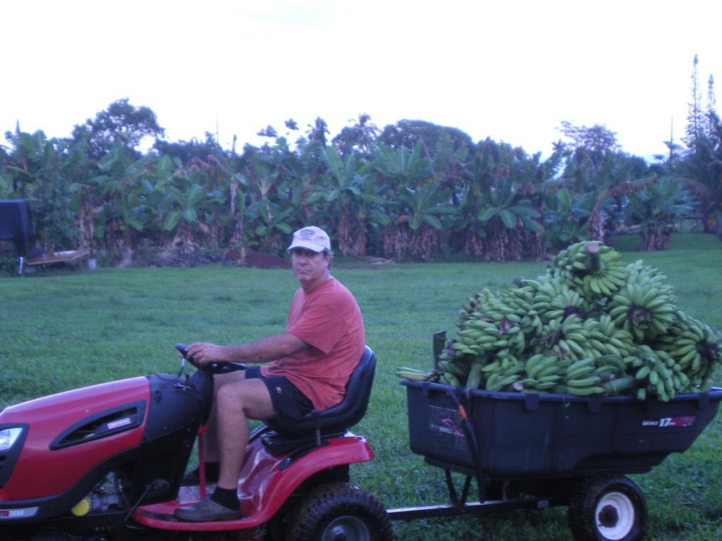 Island Goode'S - Luxury Adult Only Accommodation Near Hilo Papaikou Extérieur photo