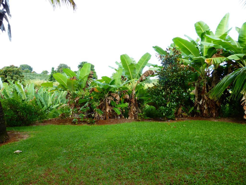 Island Goode'S - Luxury Adult Only Accommodation Near Hilo Papaikou Extérieur photo