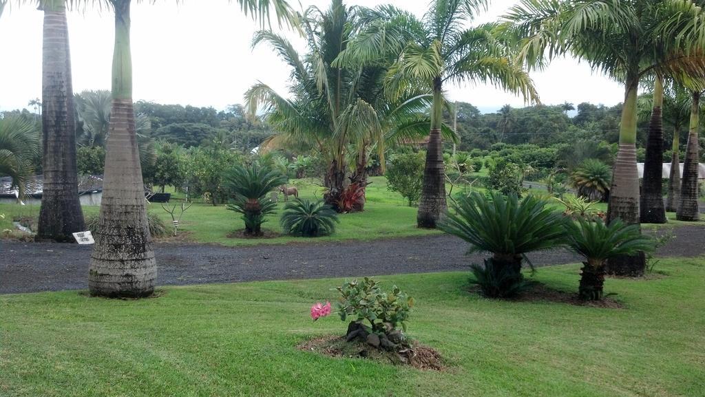 Island Goode'S - Luxury Adult Only Accommodation Near Hilo Papaikou Extérieur photo
