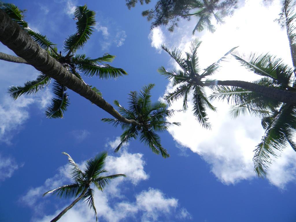 Island Goode'S - Luxury Adult Only Accommodation Near Hilo Papaikou Extérieur photo