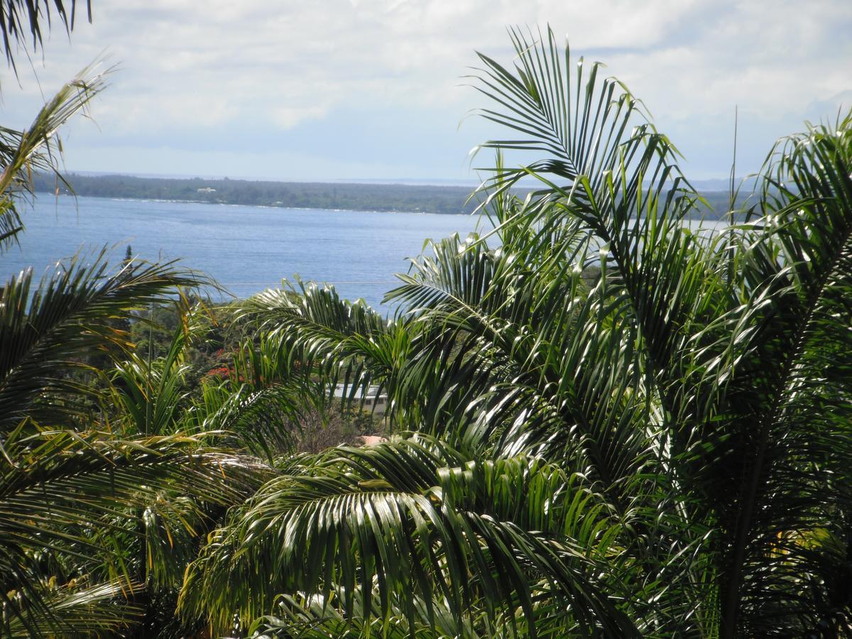 Island Goode'S - Luxury Adult Only Accommodation Near Hilo Papaikou Extérieur photo