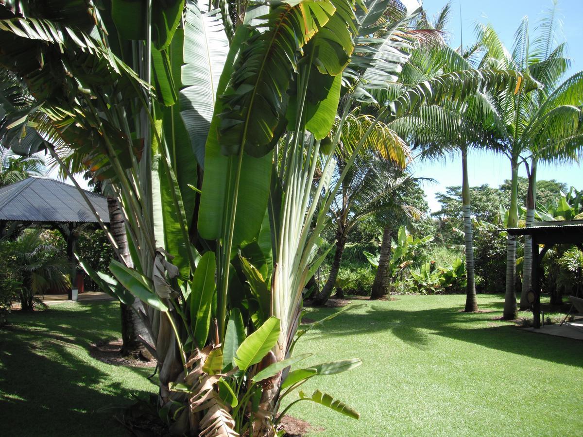 Island Goode'S - Luxury Adult Only Accommodation Near Hilo Papaikou Extérieur photo
