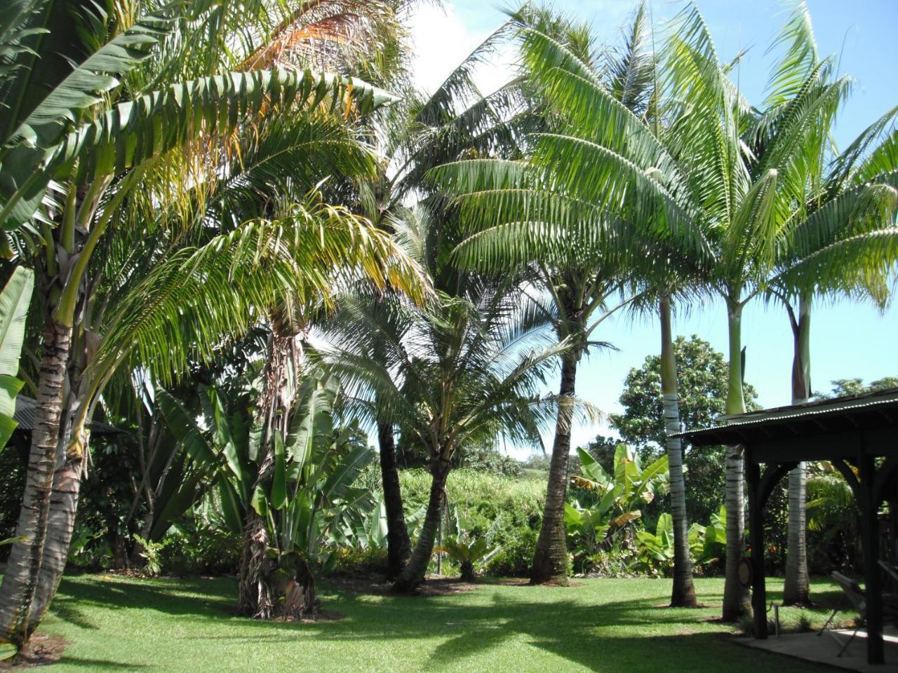 Island Goode'S - Luxury Adult Only Accommodation Near Hilo Papaikou Extérieur photo